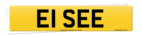 Registration number E1 SEE